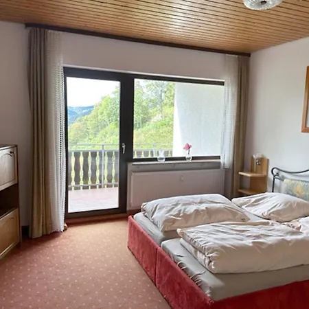 Schwarzwaldblick 3*