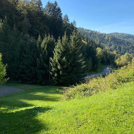 B&B Schwarzwaldblick 트리베르크
