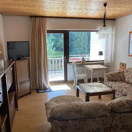 Schwarzwaldblick Triberg im Schwarzwald