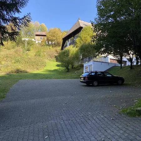 Schwarzwaldblick * Triberg im Schwarzwald