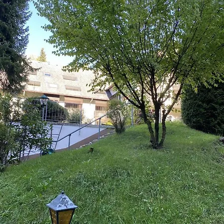 Schwarzwaldblick Triberg im Schwarzwald