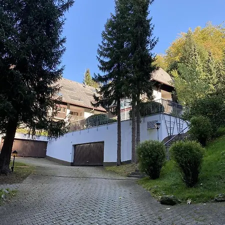 B&B Schwarzwaldblick 트리베르크