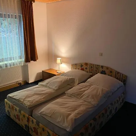Schwarzwaldblick 3* 트리베르크