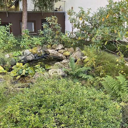 Schwarzwaldblick B&B 트리베르크