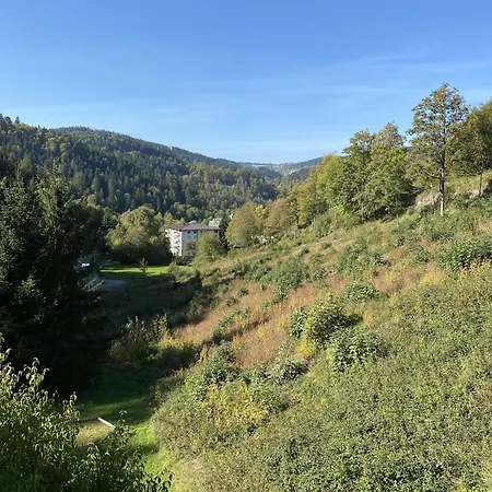 Bed and breakfast Schwarzwaldblick Triberg im Schwarzwald