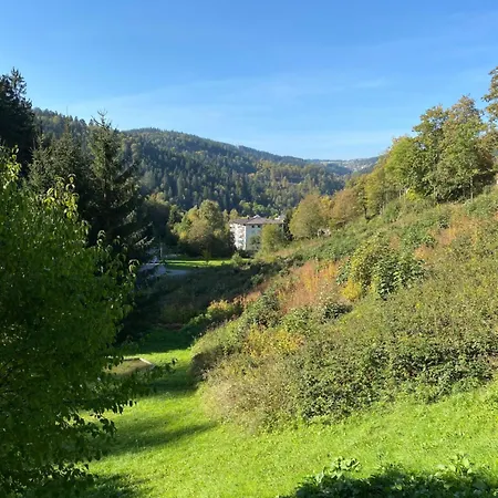 Schwarzwaldblick Bed and breakfast 3*