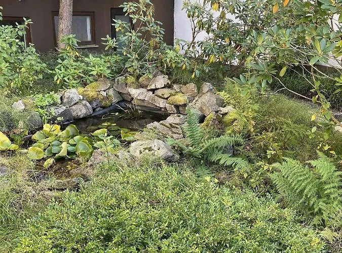 Schwarzwaldblick Bed & Breakfast Triberg im Schwarzwald